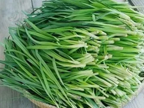 Những tác dụng của lá hẹ với sức khỏe ít người biết