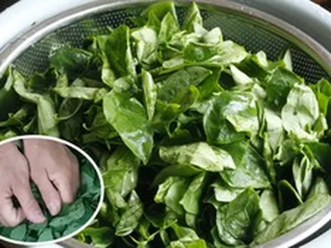 Ăn nắm rau này "bổ ngang thịt bò", ở quê mọc um tùm nhiều người không biết mà ăn