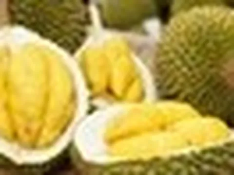 Sầu riêng thuộc nhóm trái cây nhiều đường nhưng chuyên gia lại khuyên một số người nên ăn: Hoá ra là vì điều này!
