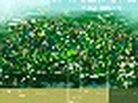 Lần đầu Chính phủ Lào cấp phép doanh nghiệp Việt Nam thuê đất 99 năm, triển khai dự án rộng hơn 557 ha, vốn đầu tư 1 tỷ USD