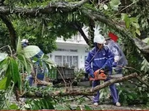 Quảng Ninh thiệt hại khoảng 20 tỷ đồng do bão số 1