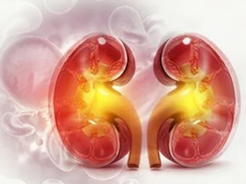 3 kiểu tính cách cực kỳ có hại cho thận